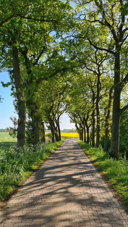Ferienwohnung Baltrum Auf Dem Elisenhof Hagermarsch Buitenkant foto