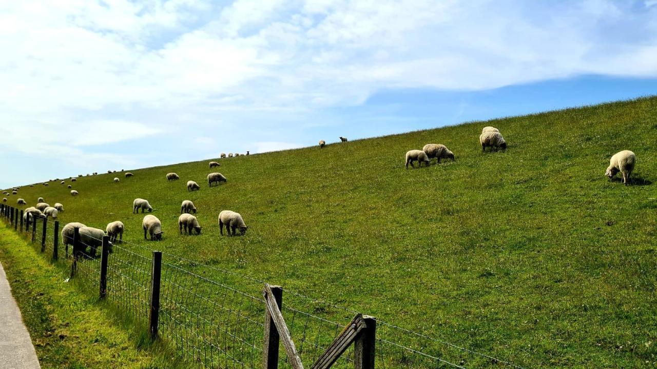 Ferienwohnung Baltrum Auf Dem Elisenhof Hagermarsch Buitenkant foto